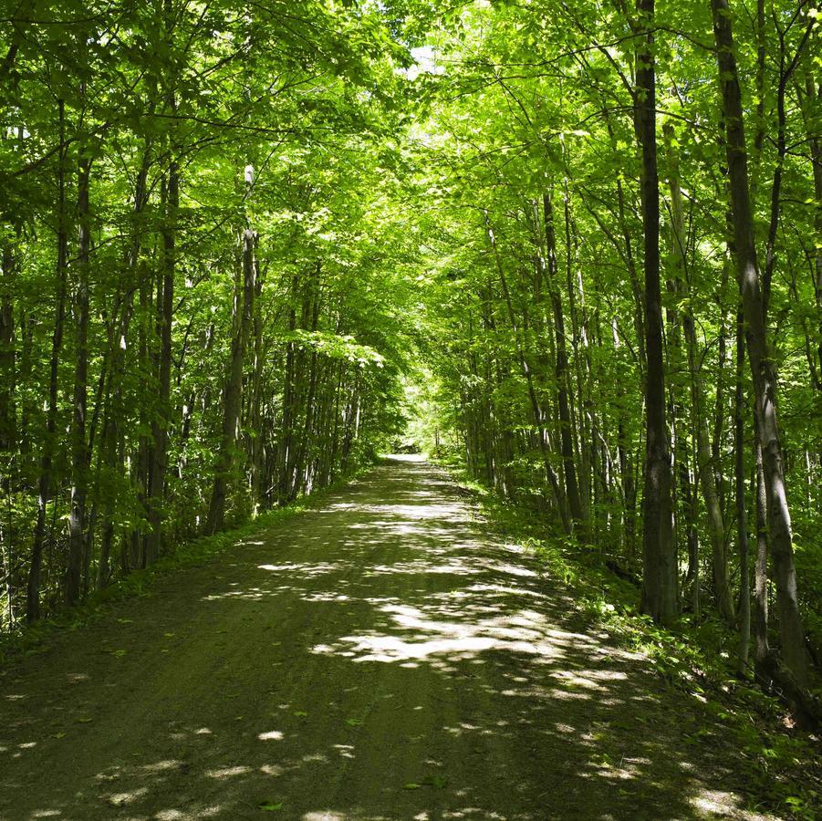 Forks Of The Credit Inn Orangeville Exteriör bild